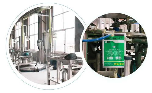 智能驅(qū)動(dòng)，水務(wù)革新 重慶樹榮長(zhǎng)壽區(qū)無人化新工廠正式投產(chǎn)